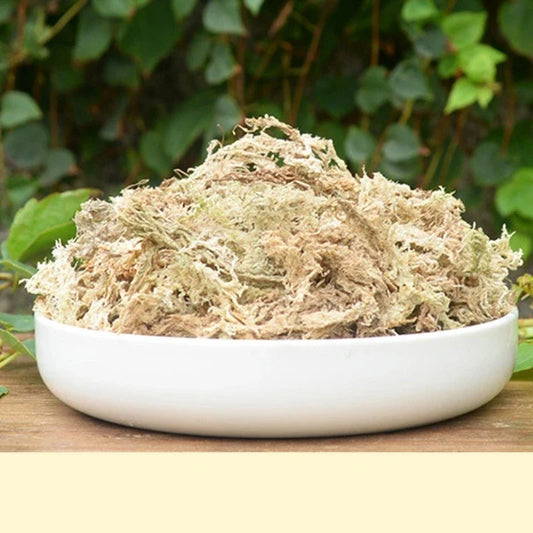Reptile Terrarium Sphagnum Moss Substrate - ProPawPet.com