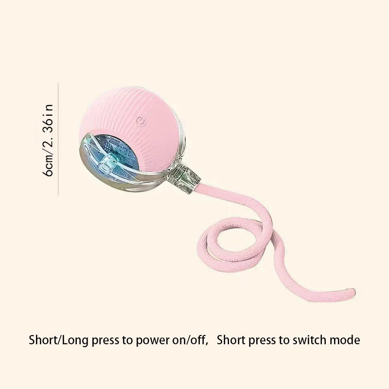 Cat Interactive Ball – Cat Supplies