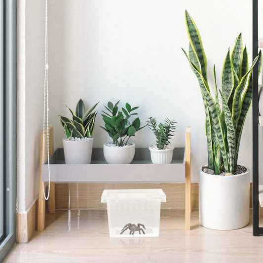 Transparent Plastic Reptile Breeding Box - ProPawPet.com