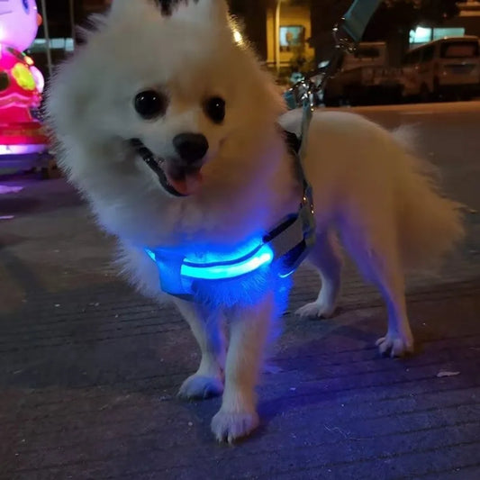 Breathable Light Up LED Dog Harness - ProPawPet.com