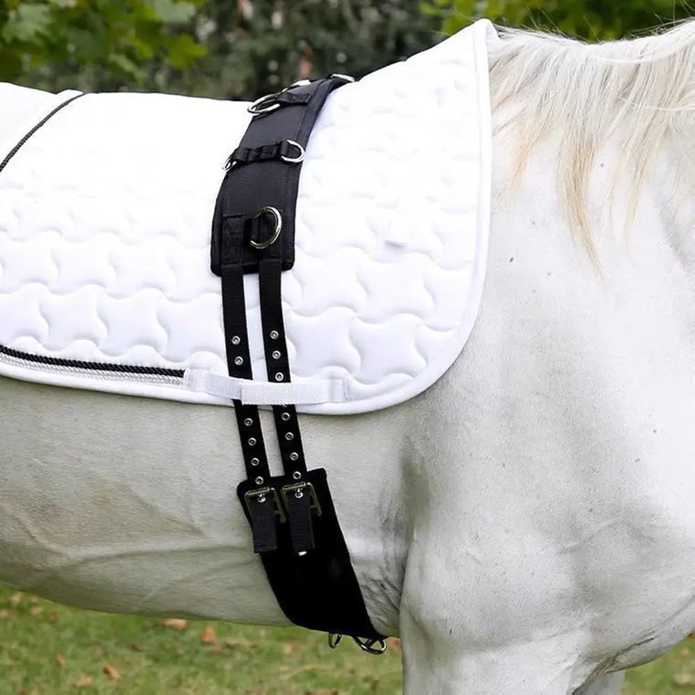 New Wear Resistant Conditioning Backpack - ProPawPet.com