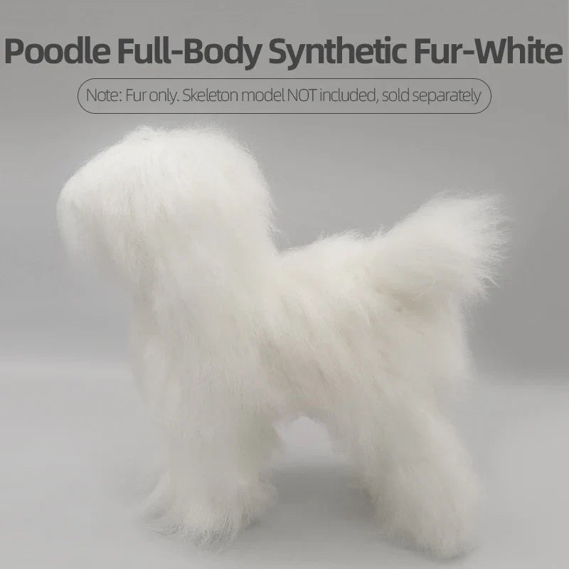 Dog Hair Beautician Practice Trimming Standard Poodle Teddy – Dog Supplies
