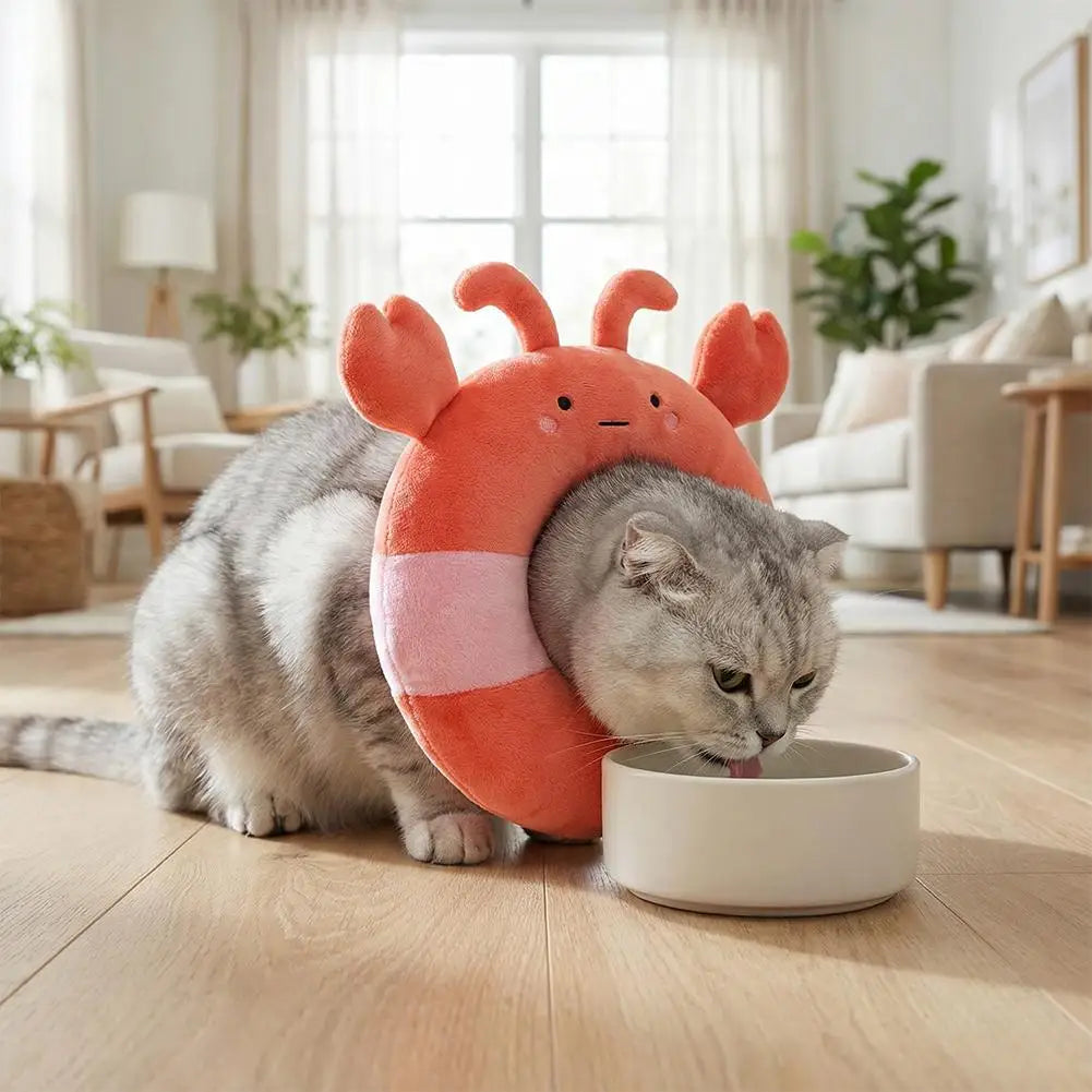Cute Pet Cat Elizabethan Collar Dog Cat - ProPawPet.com