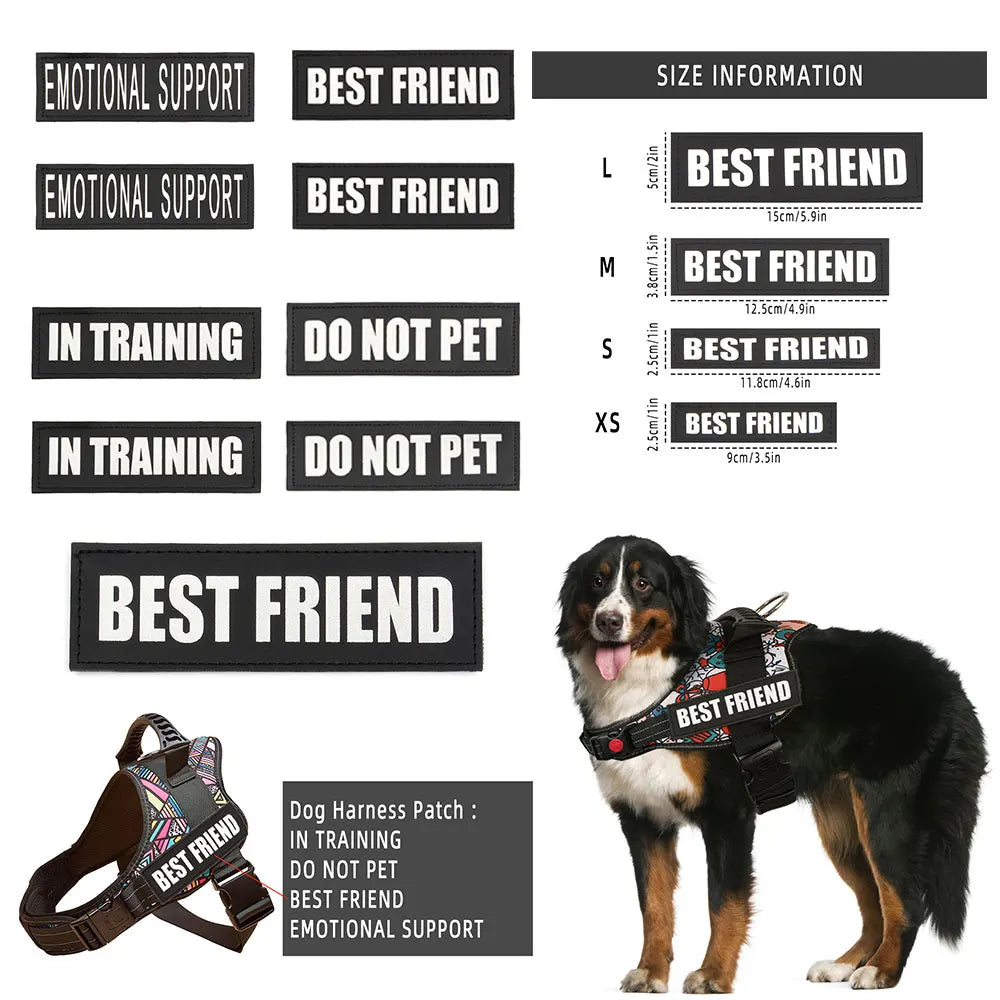 2PCS Custom Logo Dog Name Personalized Dog - ProPawPet.com