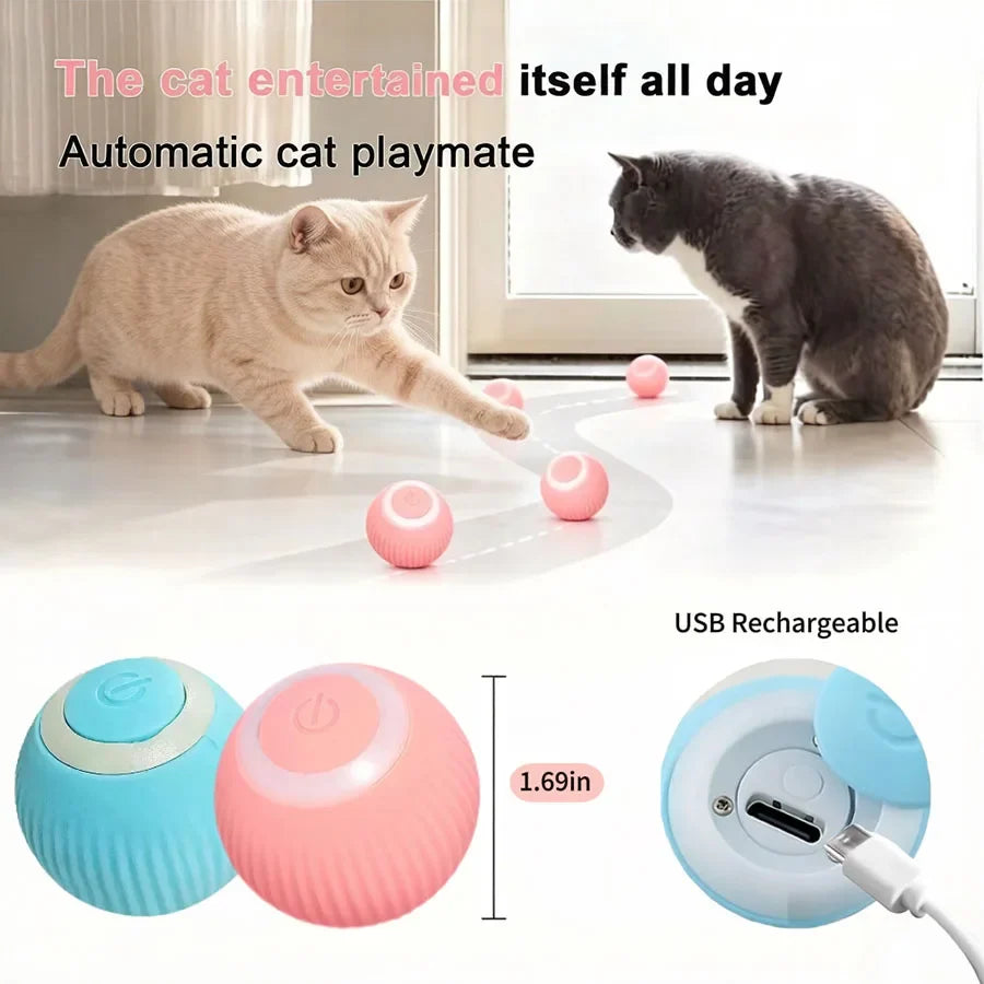 Cat Interactive Ball Electric Automatic - ProPawPet.com