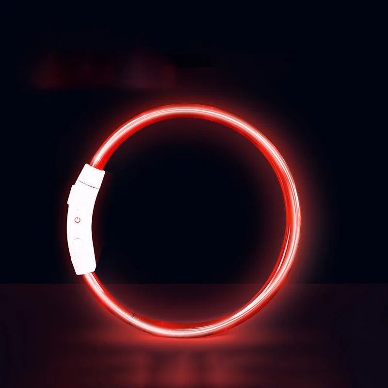 Pet Dog Cat LED Light Collar Luminous - ProPawPet.com