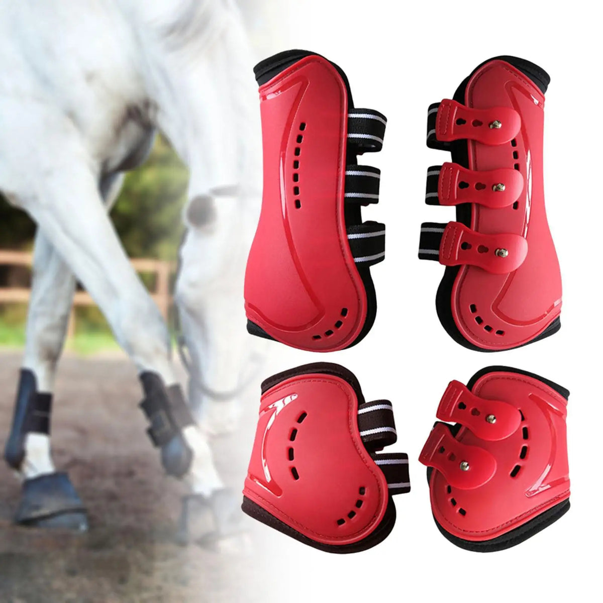 4Pcs Horse Boots Breathable Leg Protection - ProPawPet.com