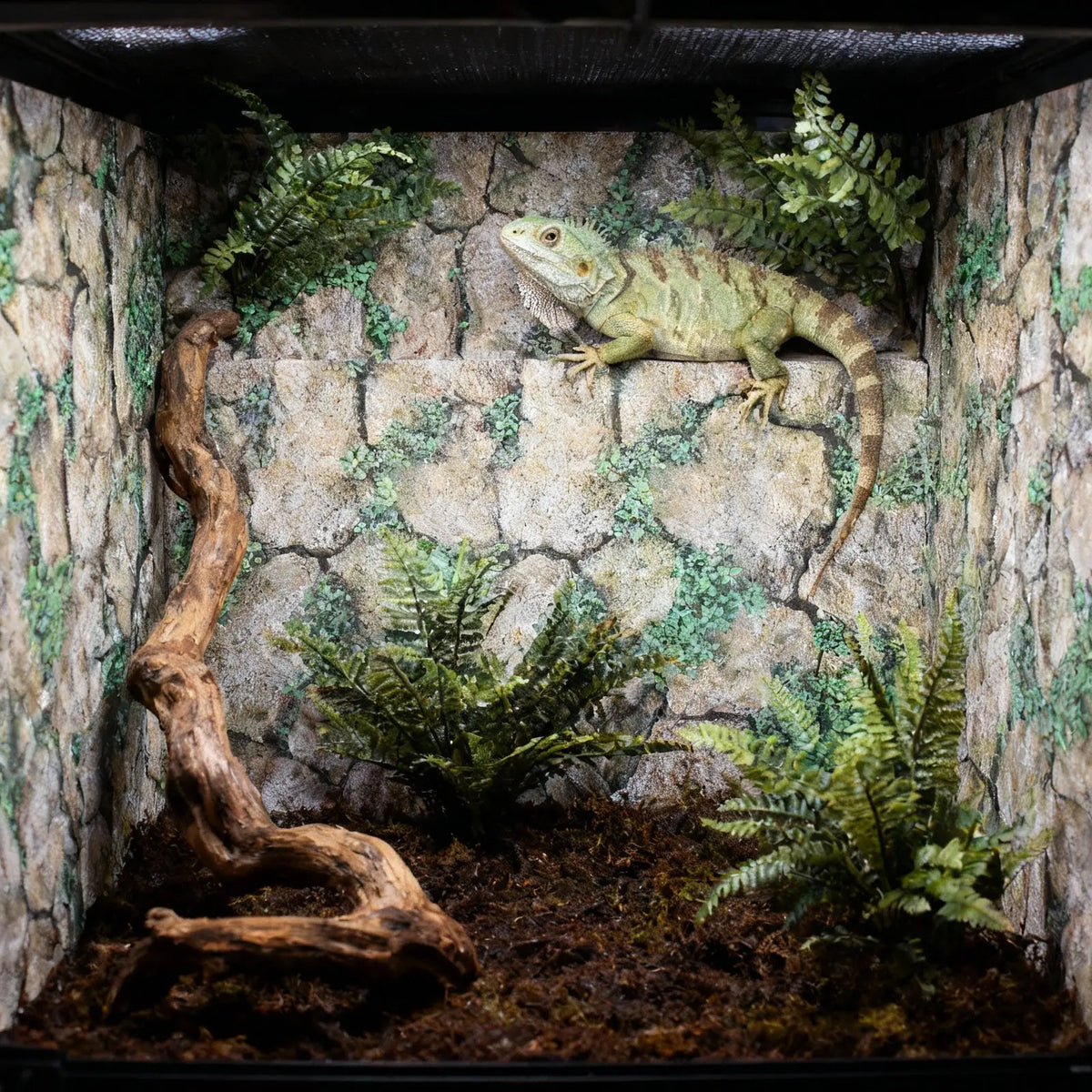 Reptile Tank Rocks Pattern Thickened - ProPawPet.com