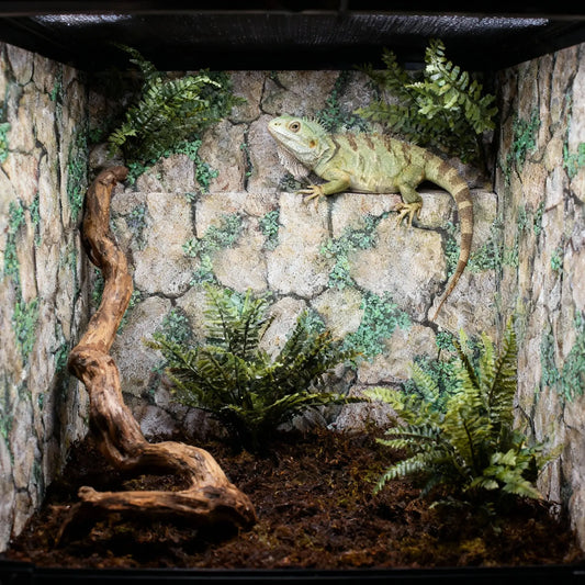 Reptile Tank Rocks Pattern Thickened - ProPawPet.com