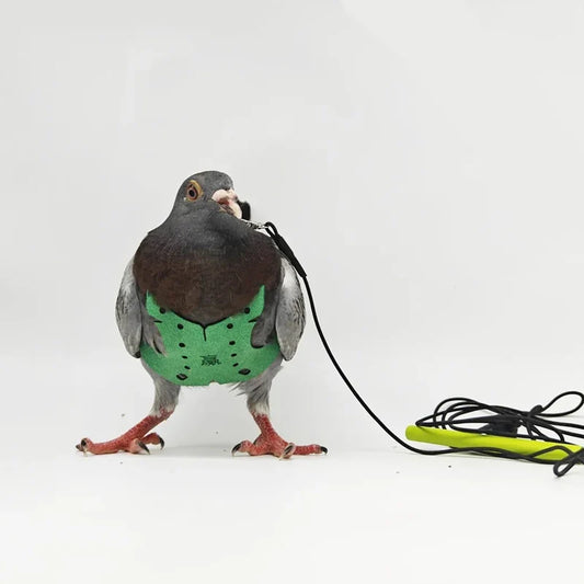 Bird Pet Product Parrot Pigeon Harness and - ProPawPet.com