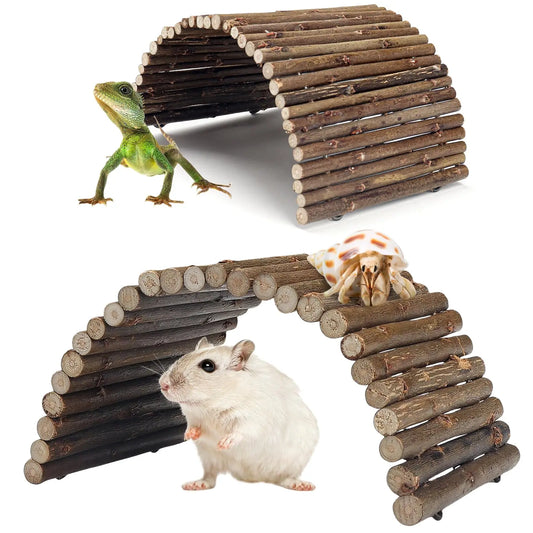 1/2 PCS Reptile Hideout Hermit Crab Bendable - ProPawPet.com