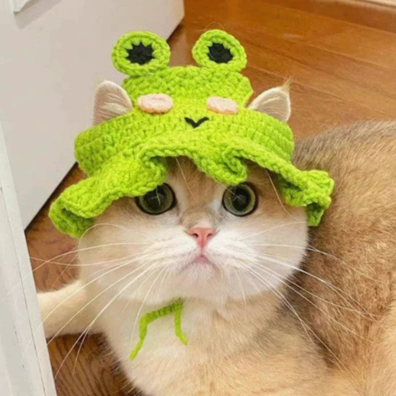Soft Cat Hats for Only Cute Knit – Cat Supplies
