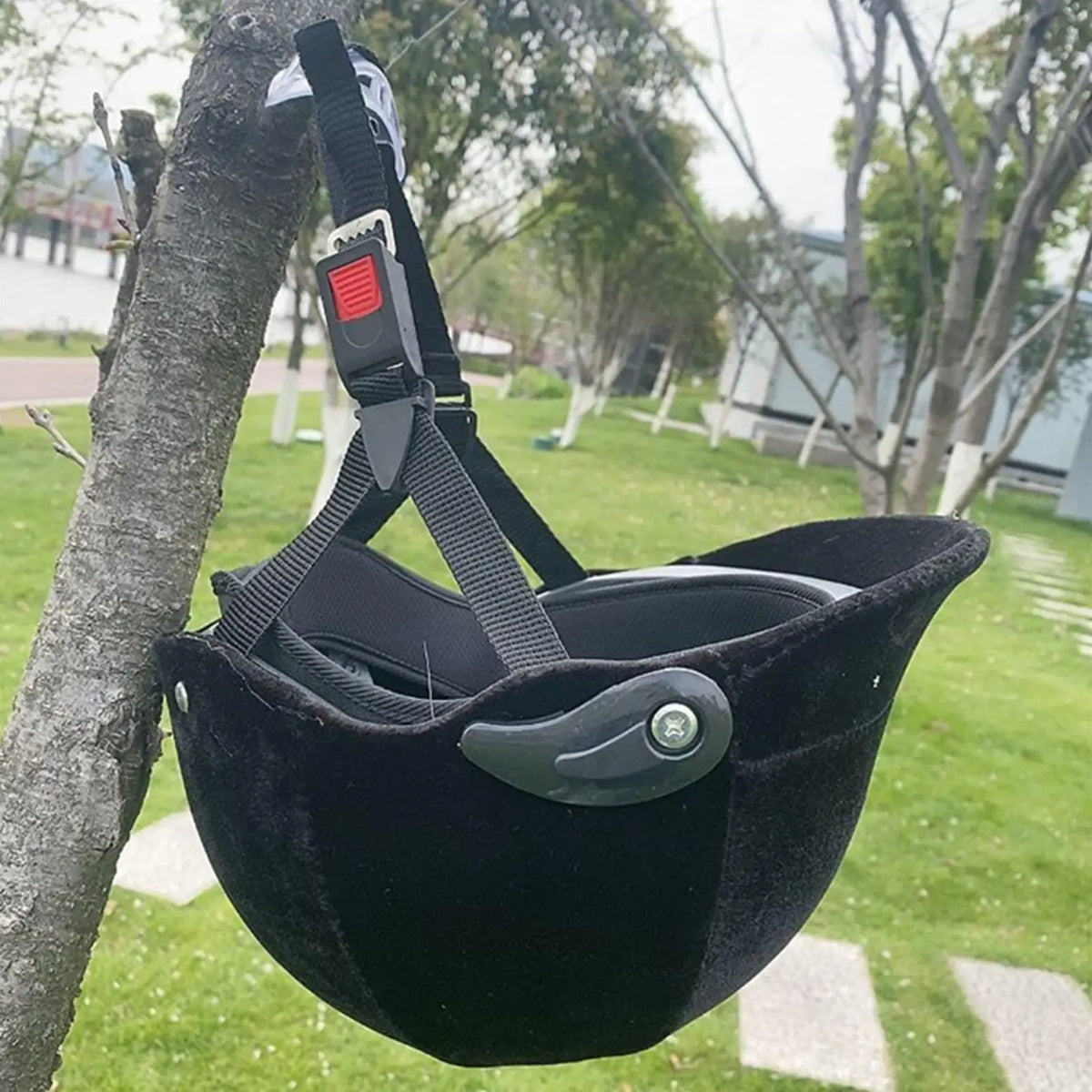 Horse Riding Helmet Adjustable Protective - ProPawPet.com