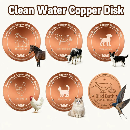 10CM Bird Bath Copper Disk Purification Tray - ProPawPet.com