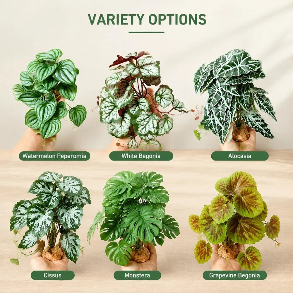 Large Leaf Artificial Plant Stable Base - ProPawPet.com