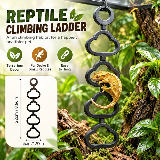 Reptile Climbing Ladder Gecko Terrarium - ProPawPet.com