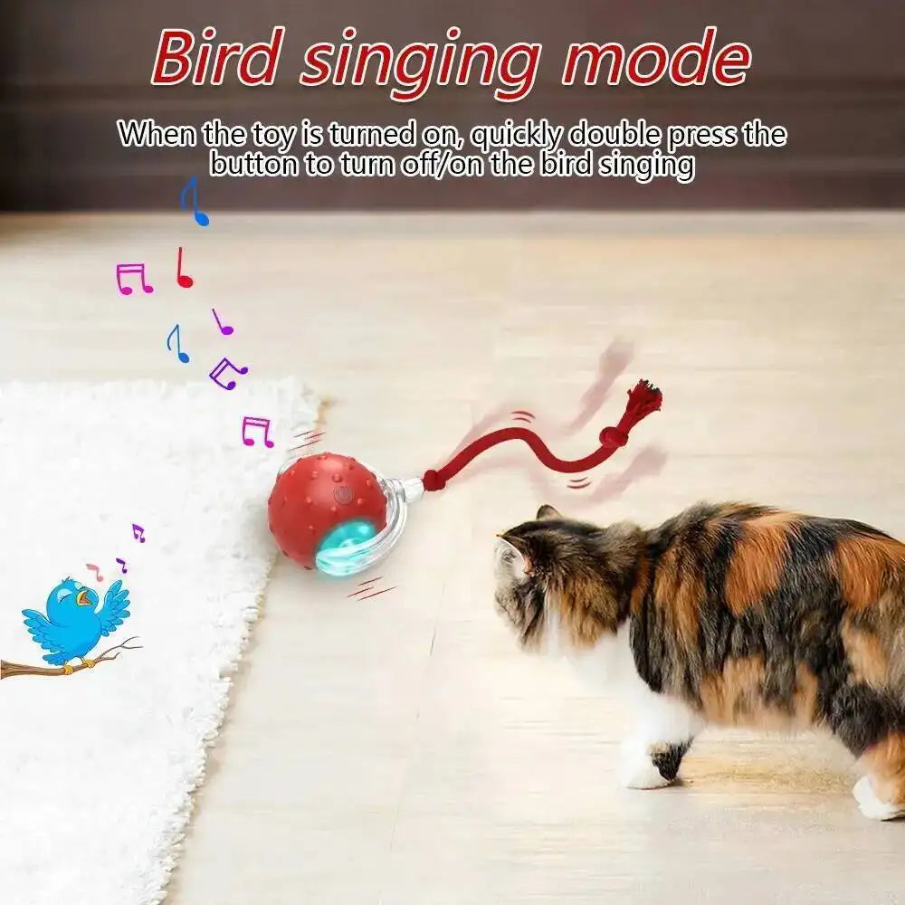 Interactive Cat Toy Ball with Bird Chirping - ProPawPet.com