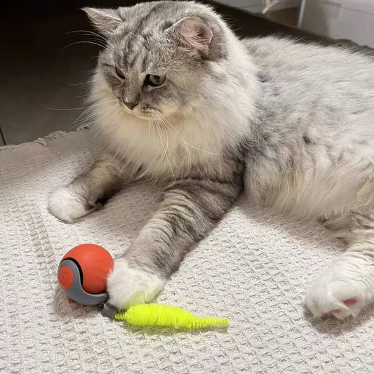Speedy Tail 2.0 Cat Toys, Smart Interactive - ProPawPet.com