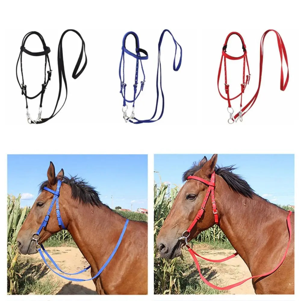 Thickened Horse Halters Comfortable - ProPawPet.com