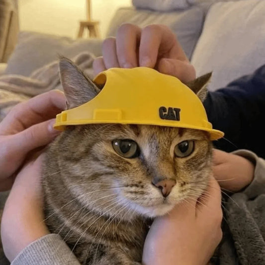 3D Printing Pet Safety Helmet Sun Protection - ProPawPet.com