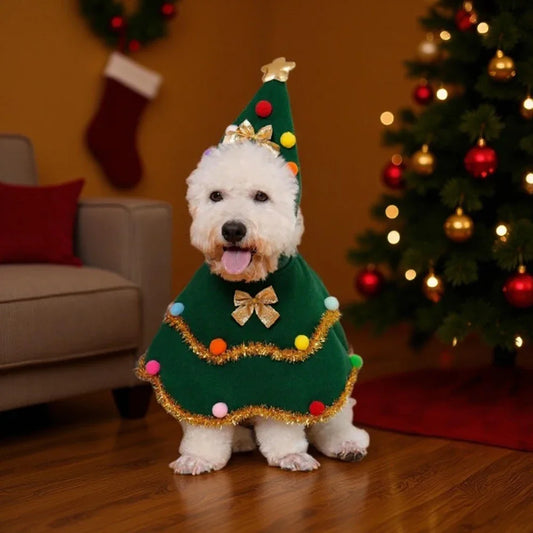 Lovely Christmas Dog Cape Festive Pet Cloak - ProPawPet.com