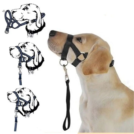 Adjustable Training Leash Anti barking Dog - ProPawPet.com