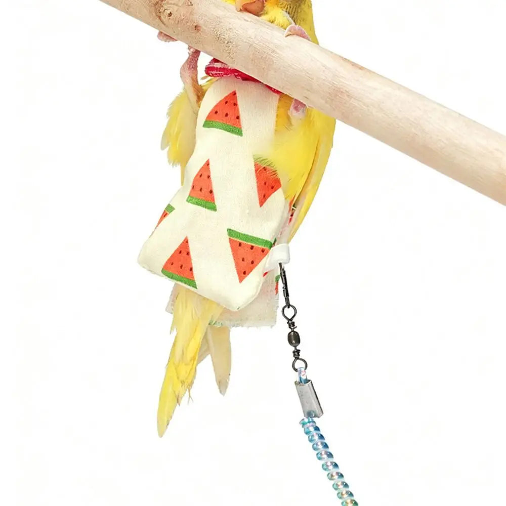 Ultra-light Parrot Training Leash 1.4-4.5m - ProPawPet.com