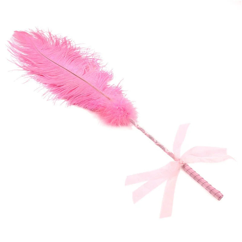 50CM Feather Spanking Paddle Horse Whip fo - ProPawPet.com