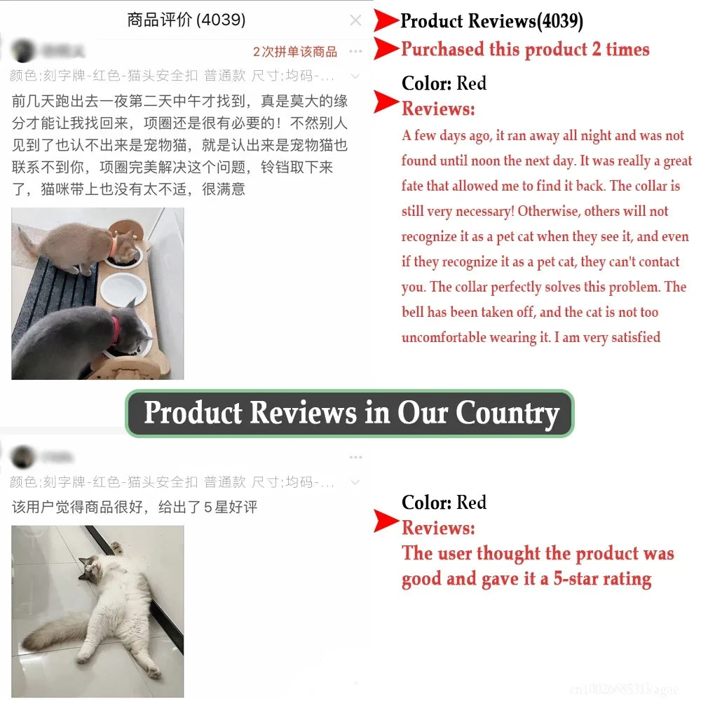 Personalized Cat Collar with Bell Safety - ProPawPet.com