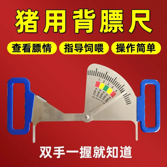 Pig Feeding Caliper Stainless Steel Feeding - ProPawPet.com