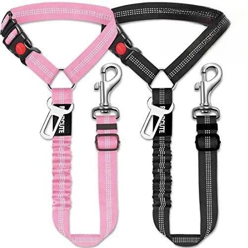 Pet Supplies High Quality Dog Leash Dog - ProPawPet.com
