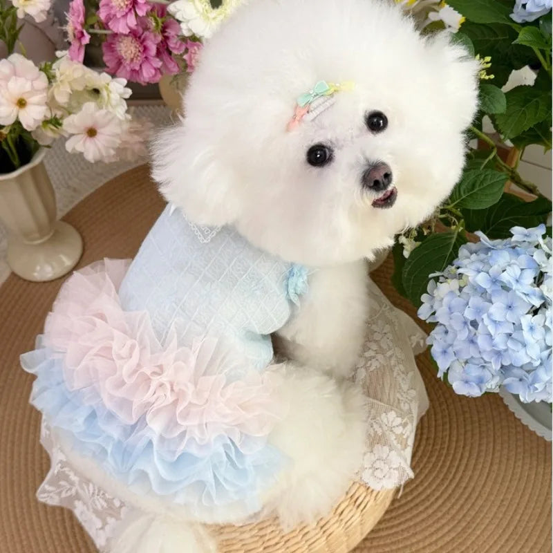 Summer Dog Gauze Skirt Blue Light CoolTeddy - ProPawPet.com