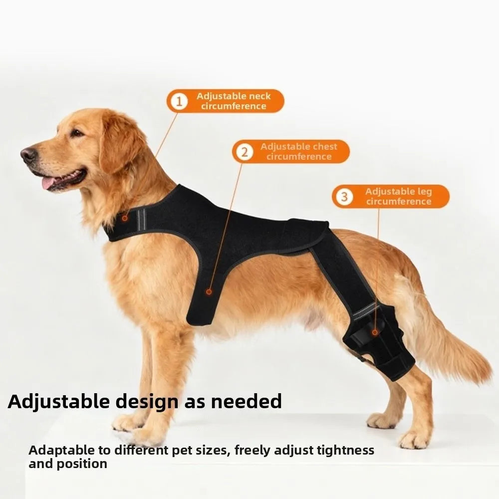 Adjustable Dog Rear Leg Brace Reflective - ProPawPet.com