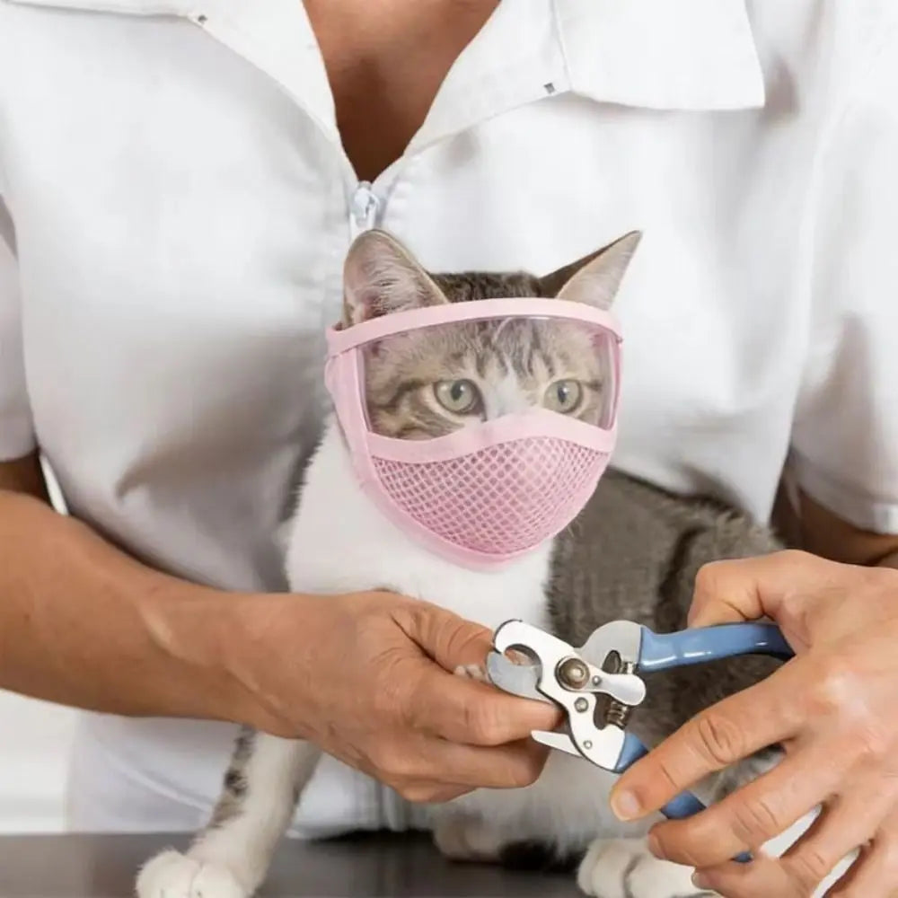 Transparent Cat Mouth Cover Adjustable - ProPawPet.com
