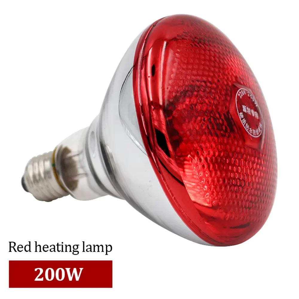 Pet Reptile Heating Lamp Set – Cooling, Warming & Seasonal
