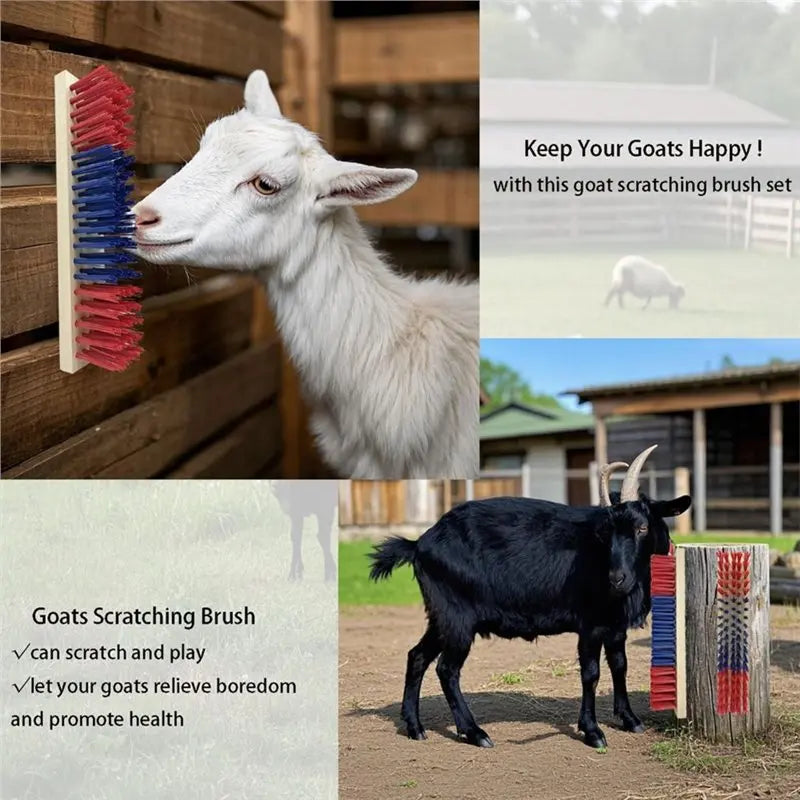 RTENTE-4 Pack Livestock Scratching Brushes - ProPawPet.com