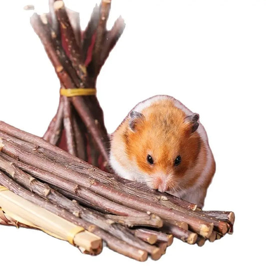 500g Natural Apple Tree Branch Toy For Pet - ProPawPet.com