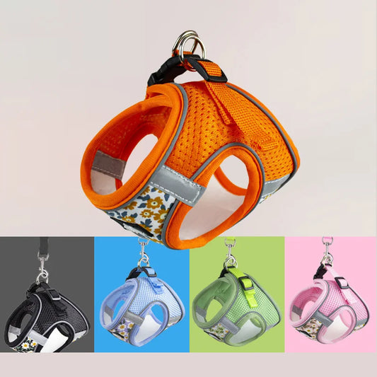 Tension-free Flower Pet Dog Harness Leash - ProPawPet.com