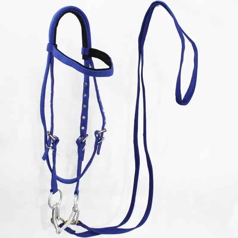 Horse Bridle Harness Set – PU Leather - ProPawPet.com