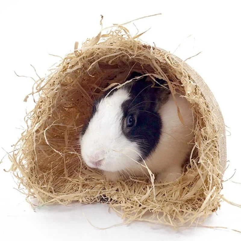 Pet Rabbit Arched Tunnel Toy Guinea Pig - ProPawPet.com