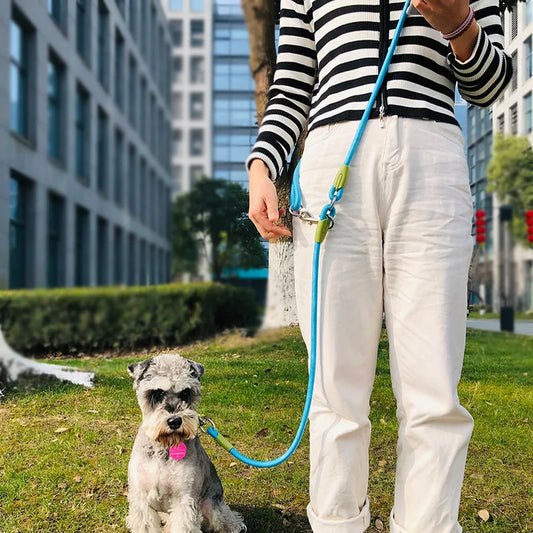 Reflective Nylon Leashes Pet Dogs Chain - ProPawPet.com