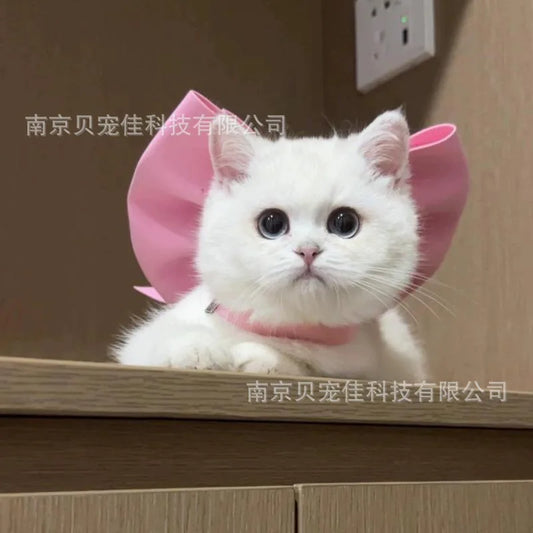 Mary Cat Bow Tie Pet Collar Scarf Cat - ProPawPet.com