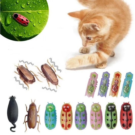 Funny Electric Bugs Catnip Toy Automatic - ProPawPet.com