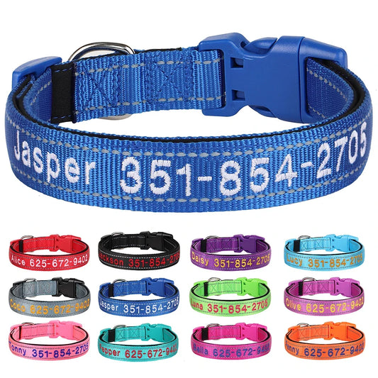 Embroidered Nylon Dog Collar Personalized - ProPawPet.com