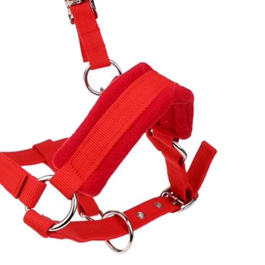 Double Layer Fleece Padded Horse Halter - ProPawPet.com