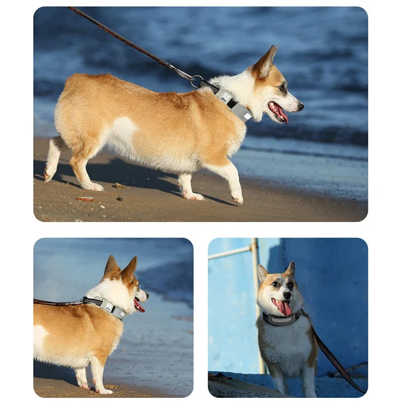 Truelove Pet Collar Reflective - ProPawPet.com
