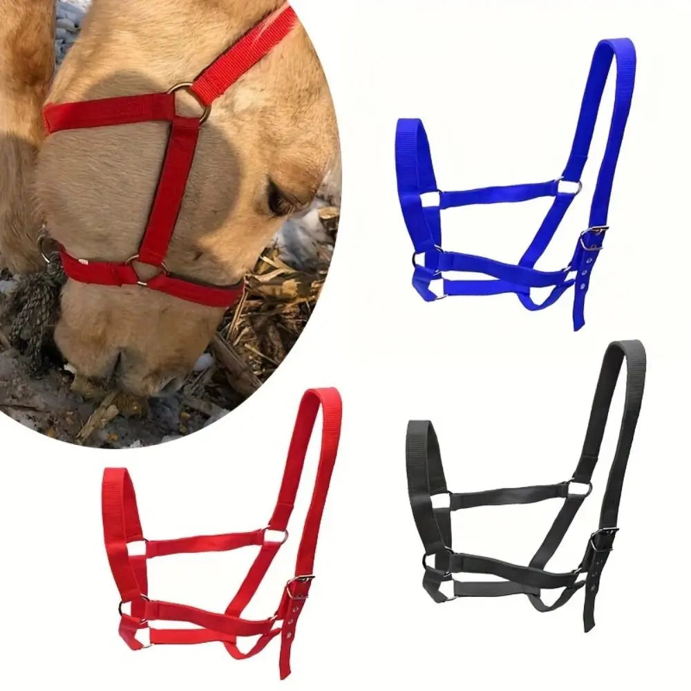 Universal Fit Adjustable Horse Halter - ProPawPet.com