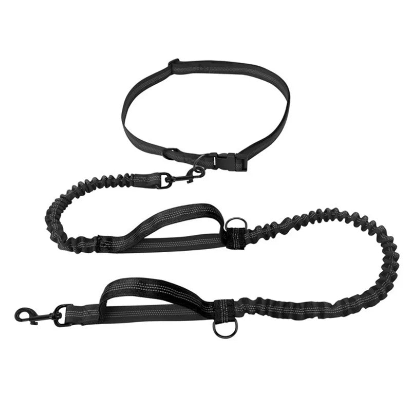 Double Elastic Reflective Running Lead – 5 Colors