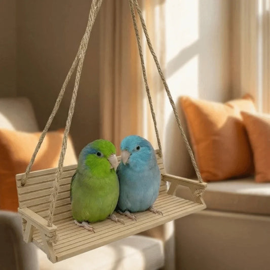 Funny Bench-Style Bird Swing with Chain - ProPawPet.com