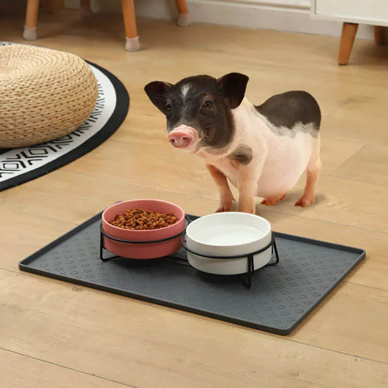 Silicone Material Dog Drinking Water and - ProPawPet.com